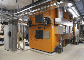 L’energia del legno facilita la svolta energetica