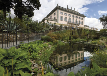 Isole del tesoro botanico