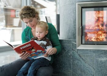 Calore ed elettricità dalle rinnovabili. Il Ticino dispone di un notevole potenziale di legno da energia