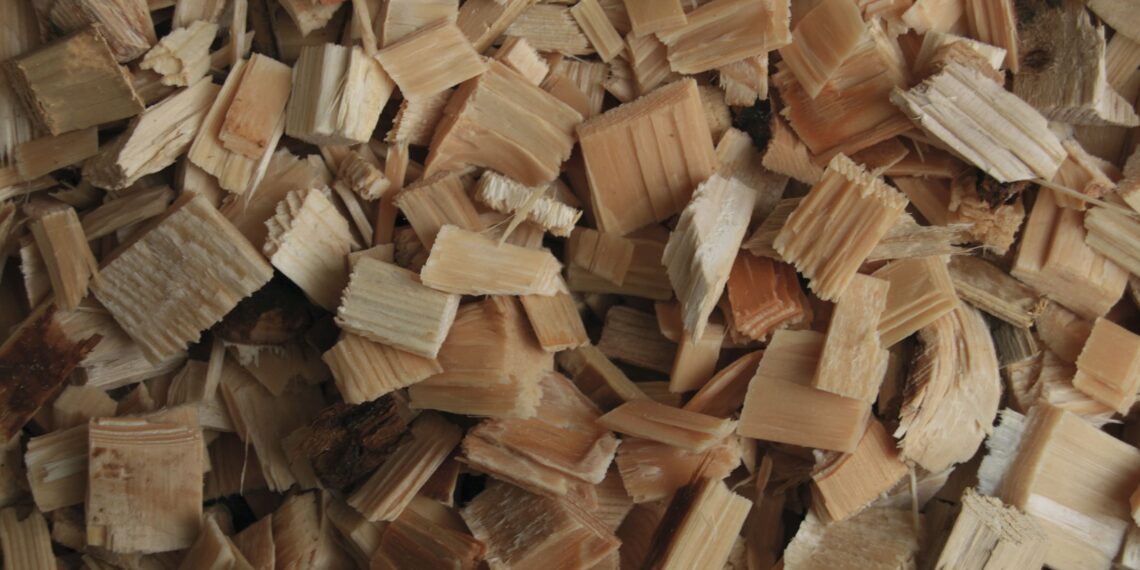 Crisi Energetica: la filiera bosco-legno-energia c’è!