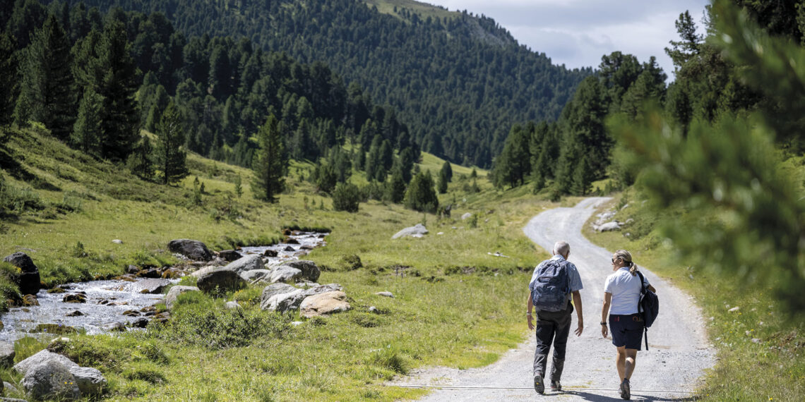 Aiuto svizzero alla montagna promuove i progetti in ambito di energia del legno