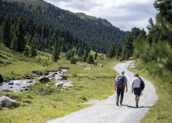 Aiuto svizzero alla montagna promuove i progetti in ambito di energia del legno