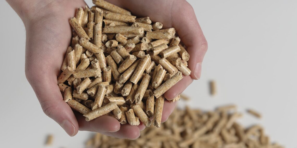 ProPellets.ch: Riscaldare economicamente con i Pellet di legno!