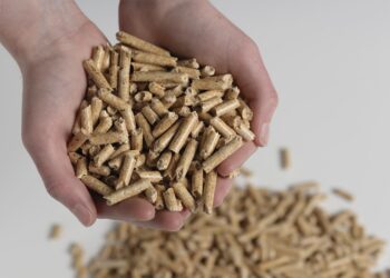 ProPellets.ch: Riscaldare economicamente con i Pellet di legno!