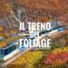 Scorci d’autunno: torna il Treno del Foliage®