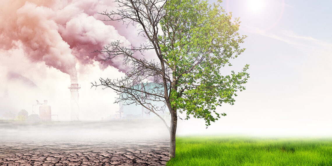L’obiettivo climatico riempie i portafogli ordini