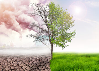 L’obiettivo climatico riempie i portafogli ordini