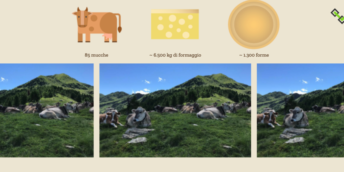 Blockcheese: tracciabilità alimentare e blockchain per il Formaggio d’alpe Ticinese DOP