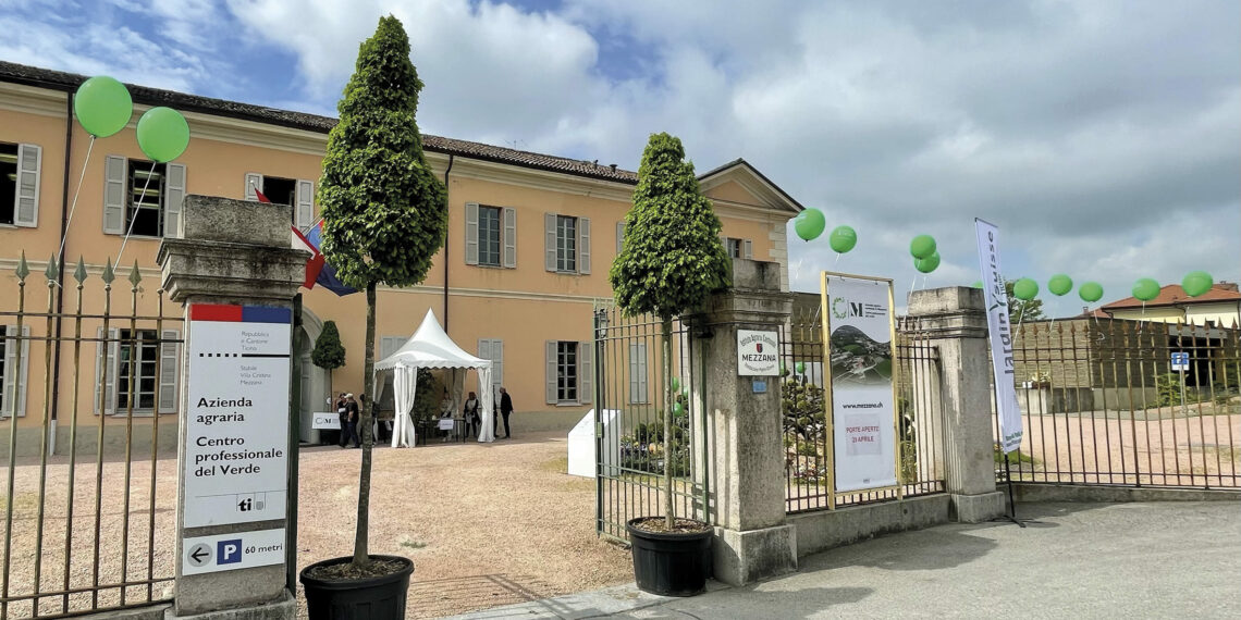 Formazione: una scelta e un impegno consapevoli