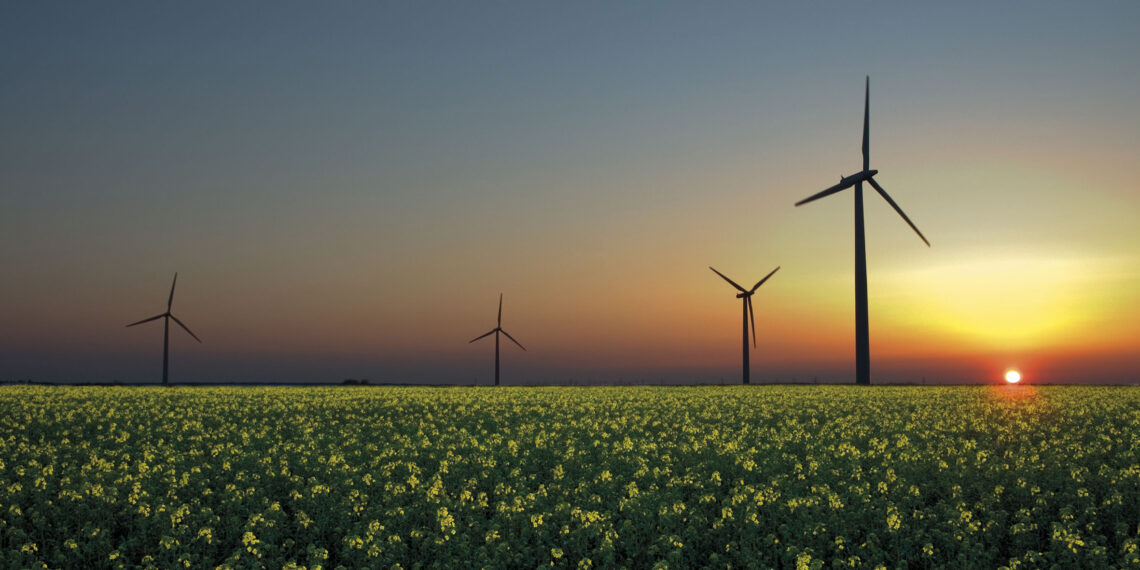 Gare pubbliche per il risparmio di energia elettrica: record di progetti nel 2023