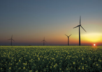 Gare pubbliche per il risparmio di energia elettrica: record di progetti nel 2023