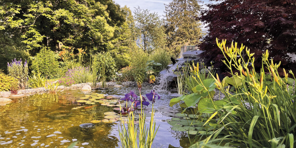Laghetti artificiali in giardino: costi, manutenzione e benefici