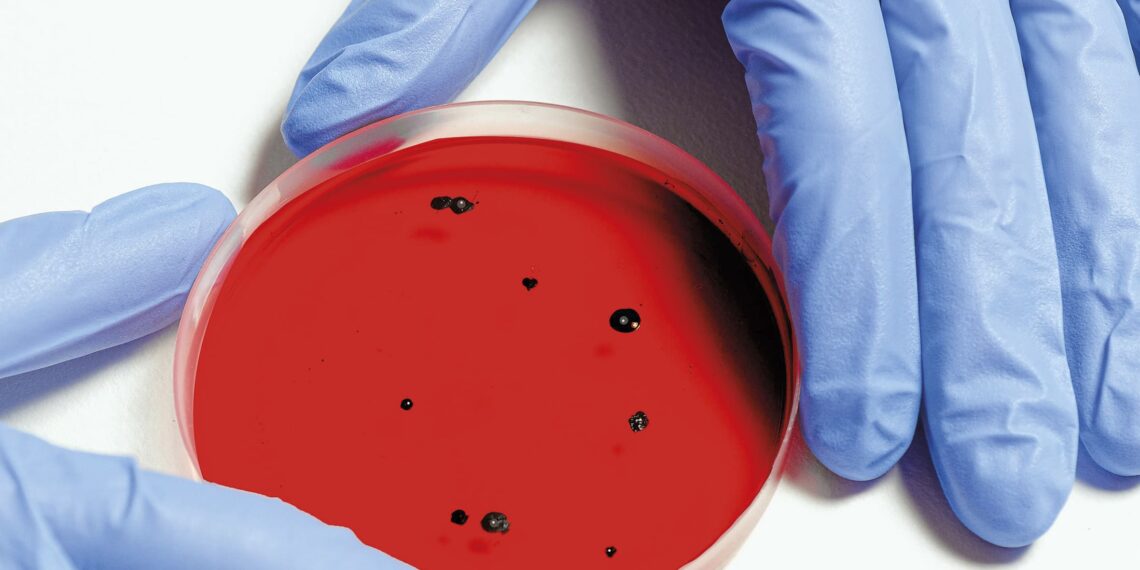 Microbiologia applicata: rinnovo della collaborazione fra Cantone e SUPSI