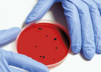 Microbiologia applicata: rinnovo della collaborazione fra Cantone e SUPSI