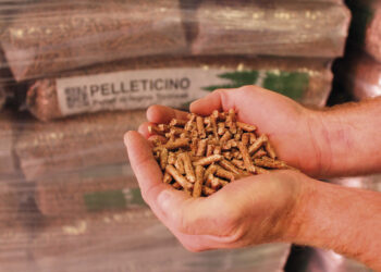 PELLETICINO: prende il via la prima produzione di pellet 100% ticinese