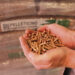 PELLETICINO: prende il via la prima produzione di pellet 100% ticinese