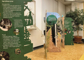 Dieci anni di Alleanza Territorio e Biodiversità!
