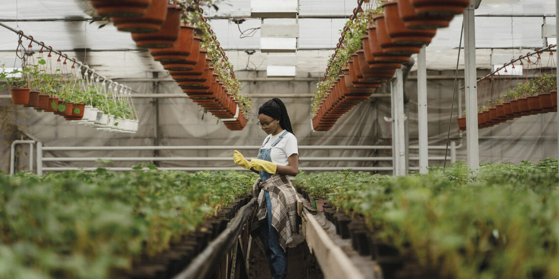 La formazione professionale del giardiniere: un percorso tra scuola, azienda e corsi interaziendali