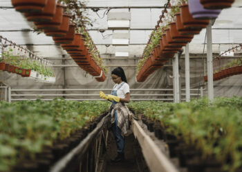 La formazione professionale del giardiniere: un percorso tra scuola, azienda e corsi interaziendali