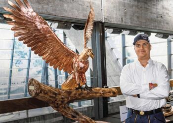 Opere impressionanti dal regno animale