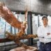 Opere impressionanti dal regno animale