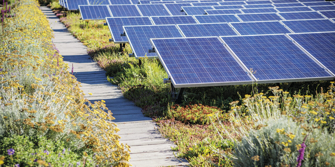 Gestione economica degli impianti fotovoltaici su tetti verdi