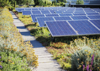 Gestione economica degli impianti fotovoltaici su tetti verdi