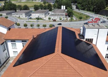 Energia pulita e uffici su misura: il modello Polus cresce con le aziende