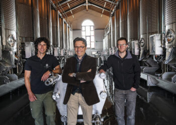 Marketing dinamico e coesione per far crescere il vino ticinese