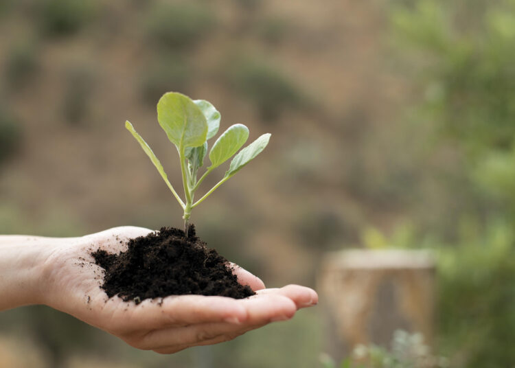 Vivere più a lungo, creare più valore: la longevità come opportunità per il Ticino